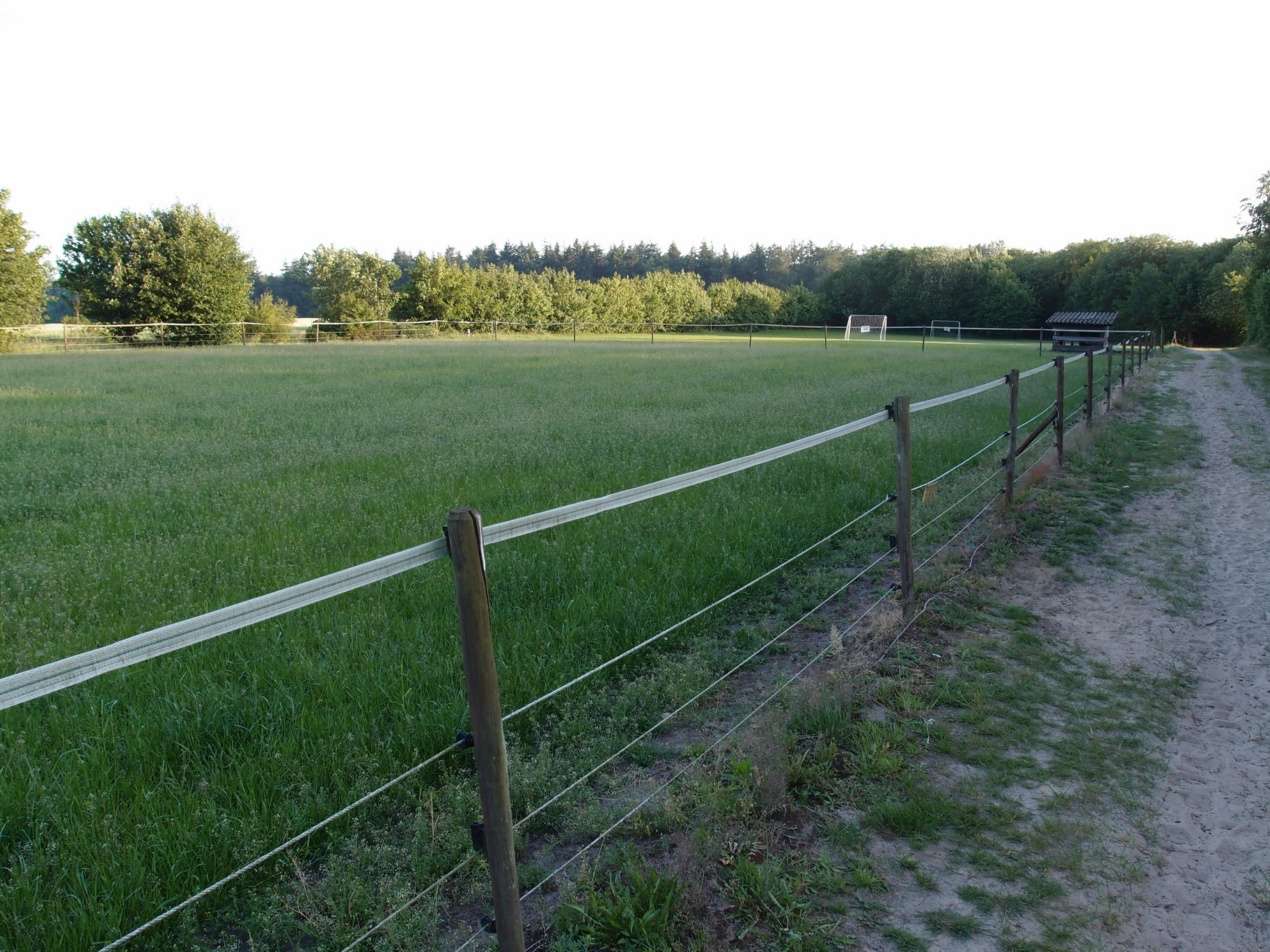 TerApel 030.jpg